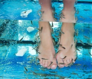 Fish spa