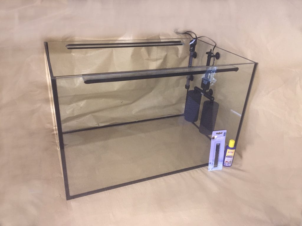 Fisch-SPA. Knabberfischbecken, Kangalfischbecken, Garn rufa SPA