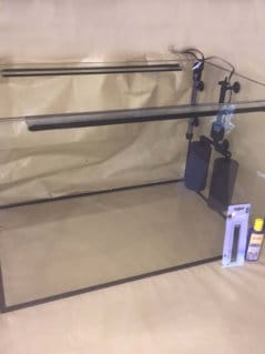 Fisch-SPA. Knabberfischbecken, Kangalfischbecken, Garn rufa SPA