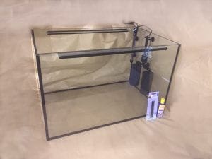 Fisch-SPA. Knabberfischbecken, Kangalfischbecken, Garn rufa SPA