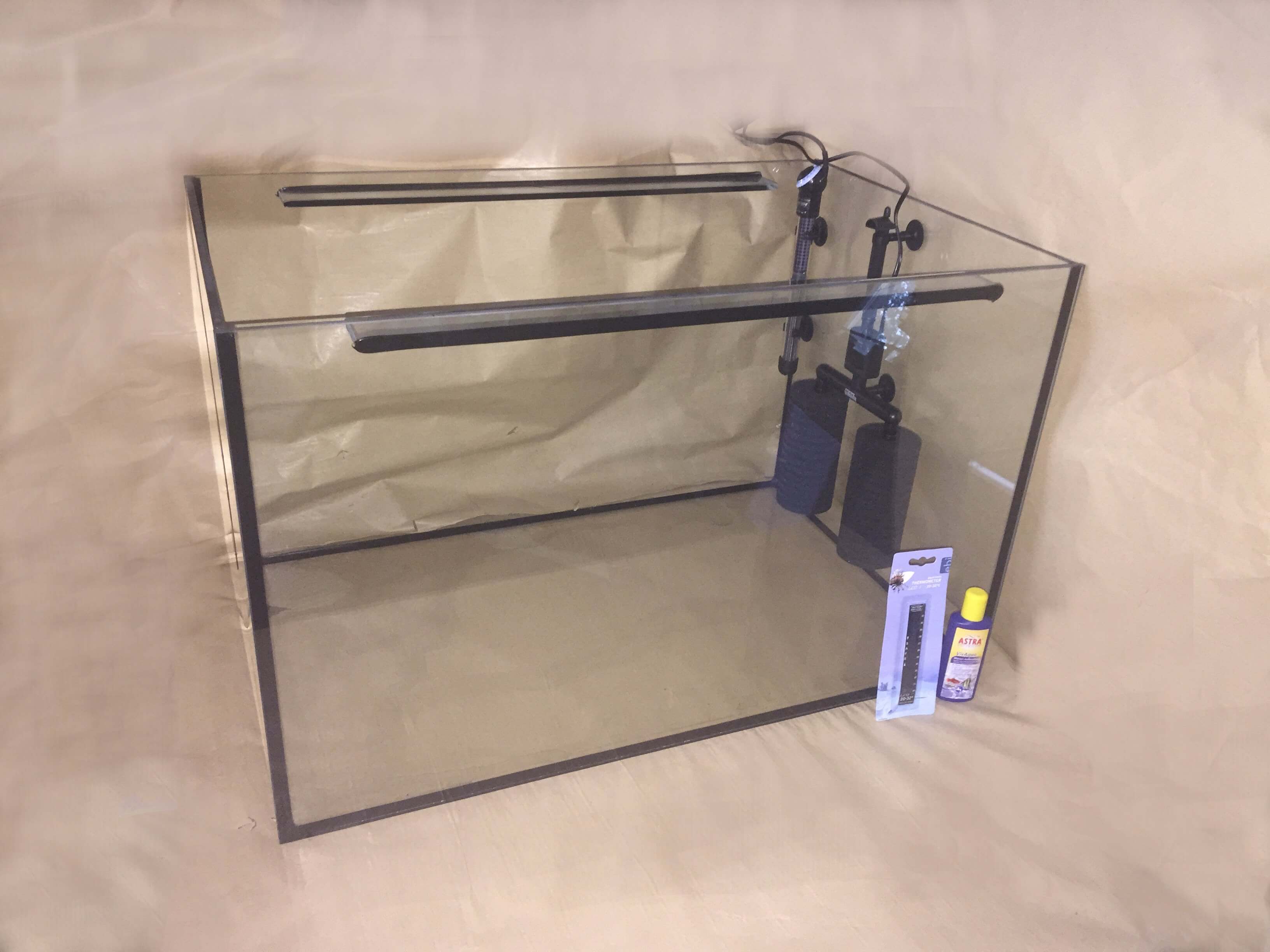 Fisch-SPA. Knabberfischbecken, Kangalfischbecken, Garn rufa SPA