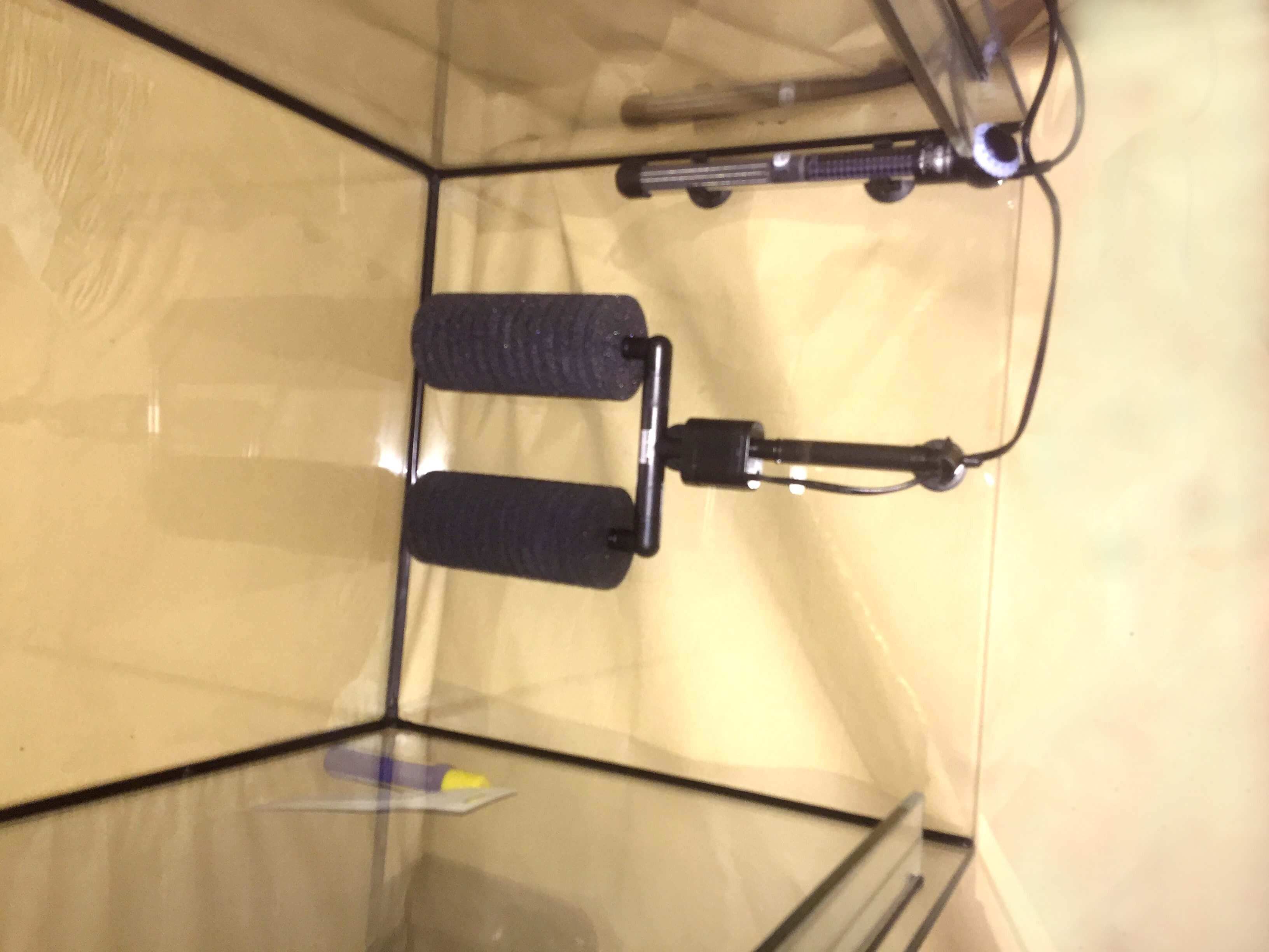 Fisch-SPA. Knabberfischbecken, Kangalfischbecken, Garn rufa SPA