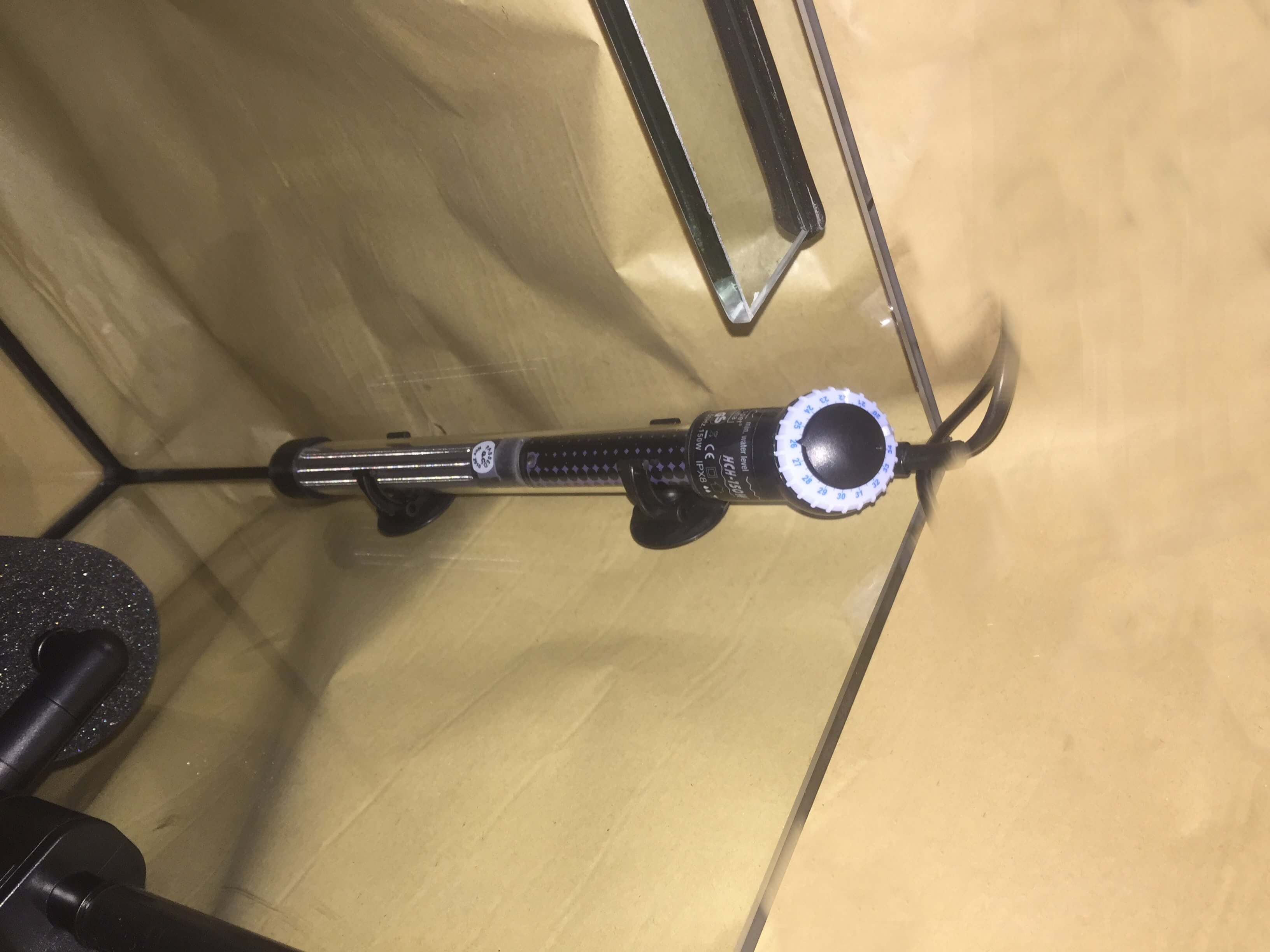 Fisch-SPA. Knabberfischbecken, Kangalfischbecken, Garn rufa SPA