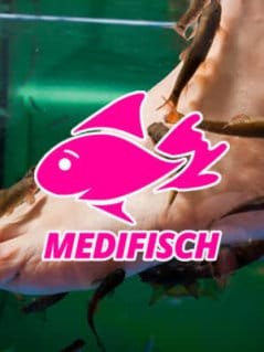 Telefonberatung: Fit für dein eigenes Fisch-SPA (30min)